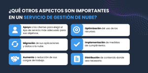 gráfico sobre qué otros aspectos son importantes en un servicio de gestión de nube