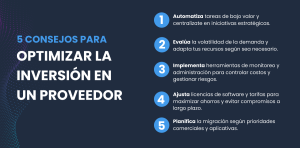 muestra gráfico 5 consejos para Optimizar la Inversión en un proveedor