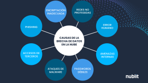 Gráfico causas de la brecha de datos vulnerabilidad